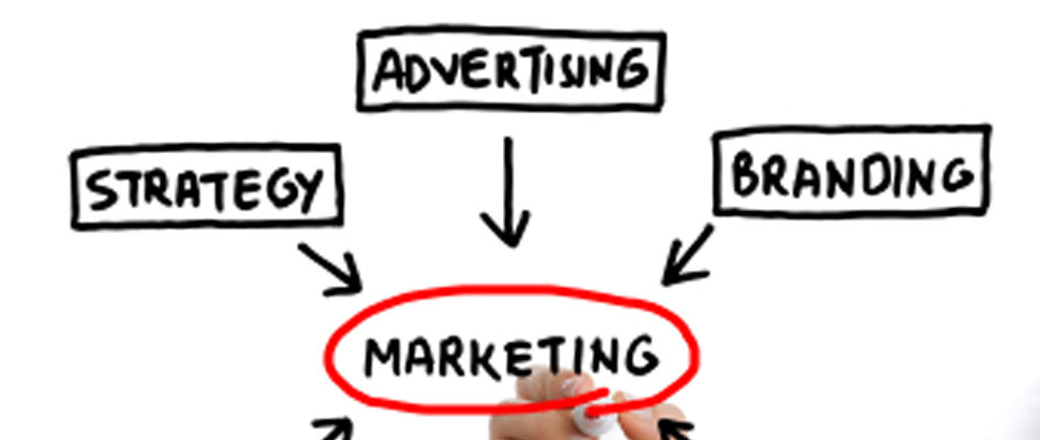 Marketing & Business Development